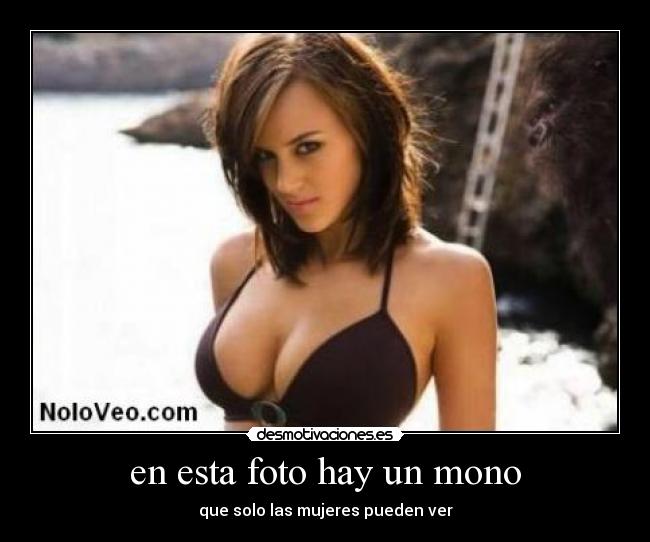 en esta foto hay un mono - que solo las mujeres pueden ver