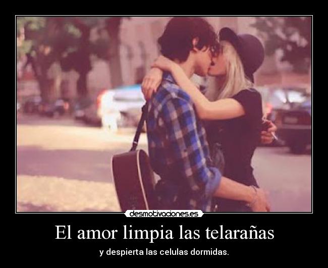 El amor limpia las telarañas - y despierta las celulas dormidas.