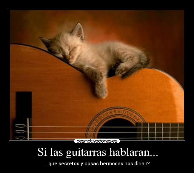 Si las guitarras hablaran... - 