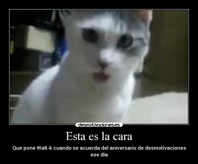Esta es la cara - Que pone Walt-k cuando se acuerda del aniversario de desmotivaciones ese día