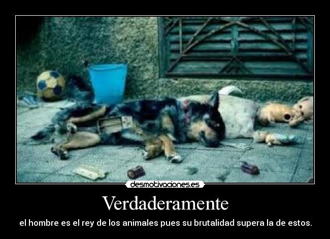 Verdaderamente - 