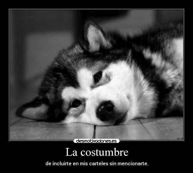La costumbre - 