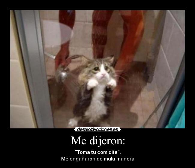 Me dijeron: - 