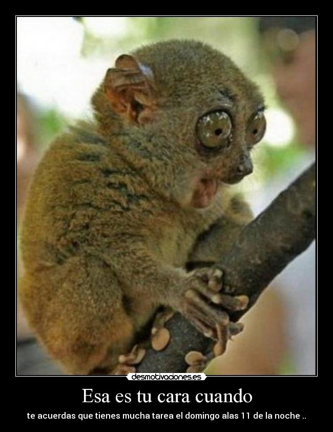 Esa es tu cara cuando - 