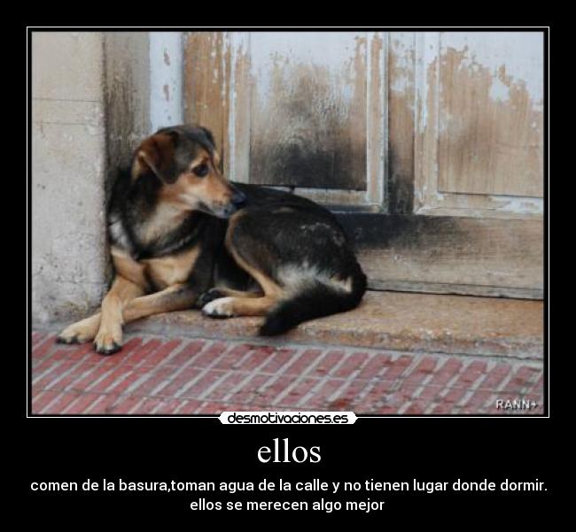 ellos -