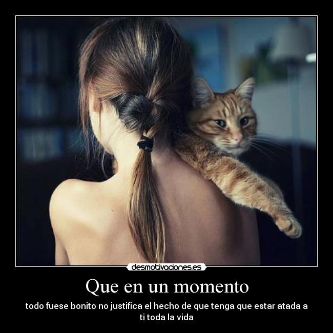 carteles misma desmotivaciones