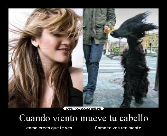 carteles imaginacion viento cabello chica perro desmotivaciones