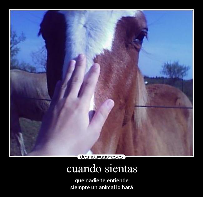 carteles amo los caballos desmotivaciones