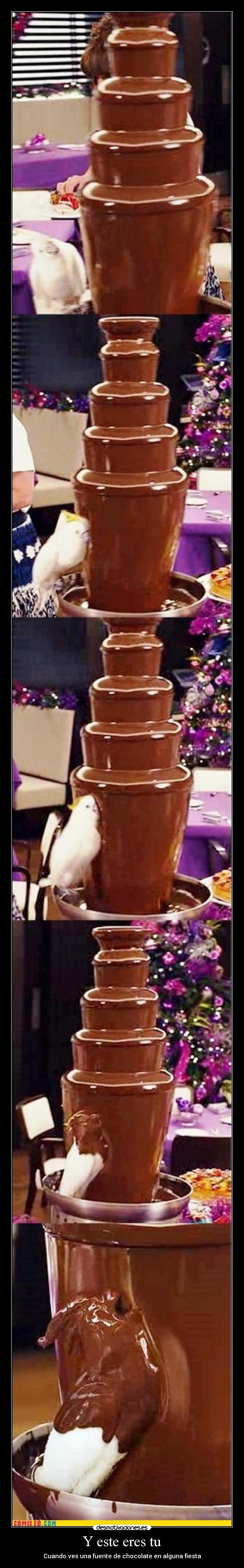 Y este eres tu - Cuando ves una fuente de chocolate en alguna fiesta
