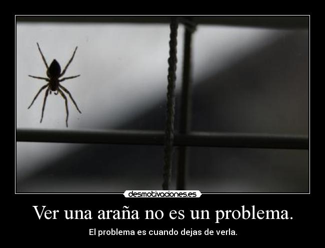 Ver una araña no es un problema. - 