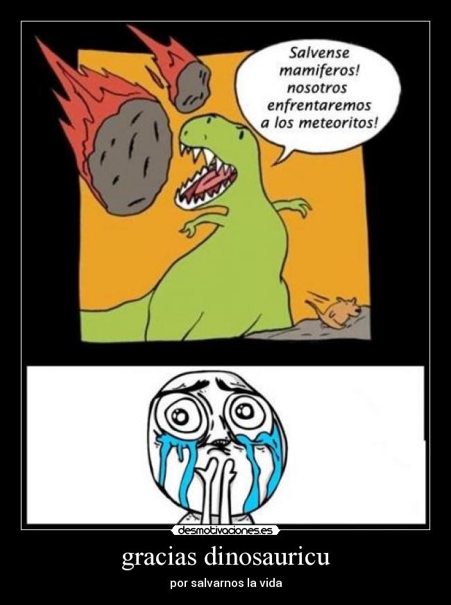 gracias dinosauricu -