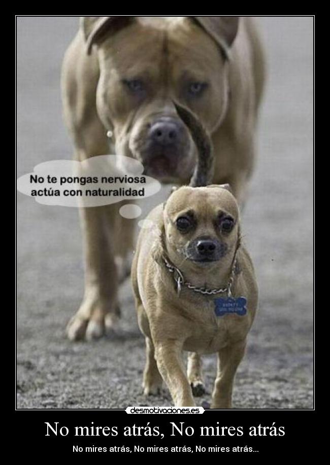 No mires atrás, No mires atrás - No mires atrás, No mires atrás, No mires atrás...