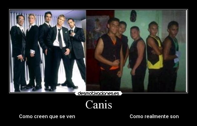 Canis - Como creen que se ven Como realmente son