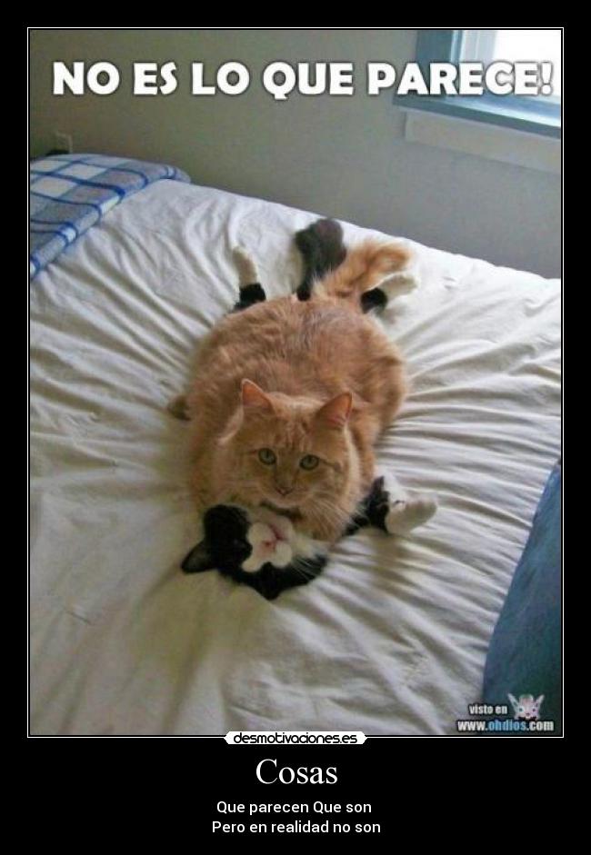 Cosas - Que parecen Que son 
Pero en realidad no son