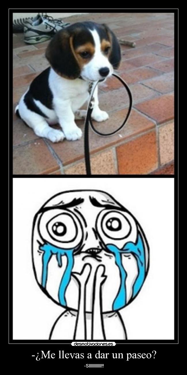 -¿Me llevas a dar un paseo? - -SIIIIIIIIIII!!