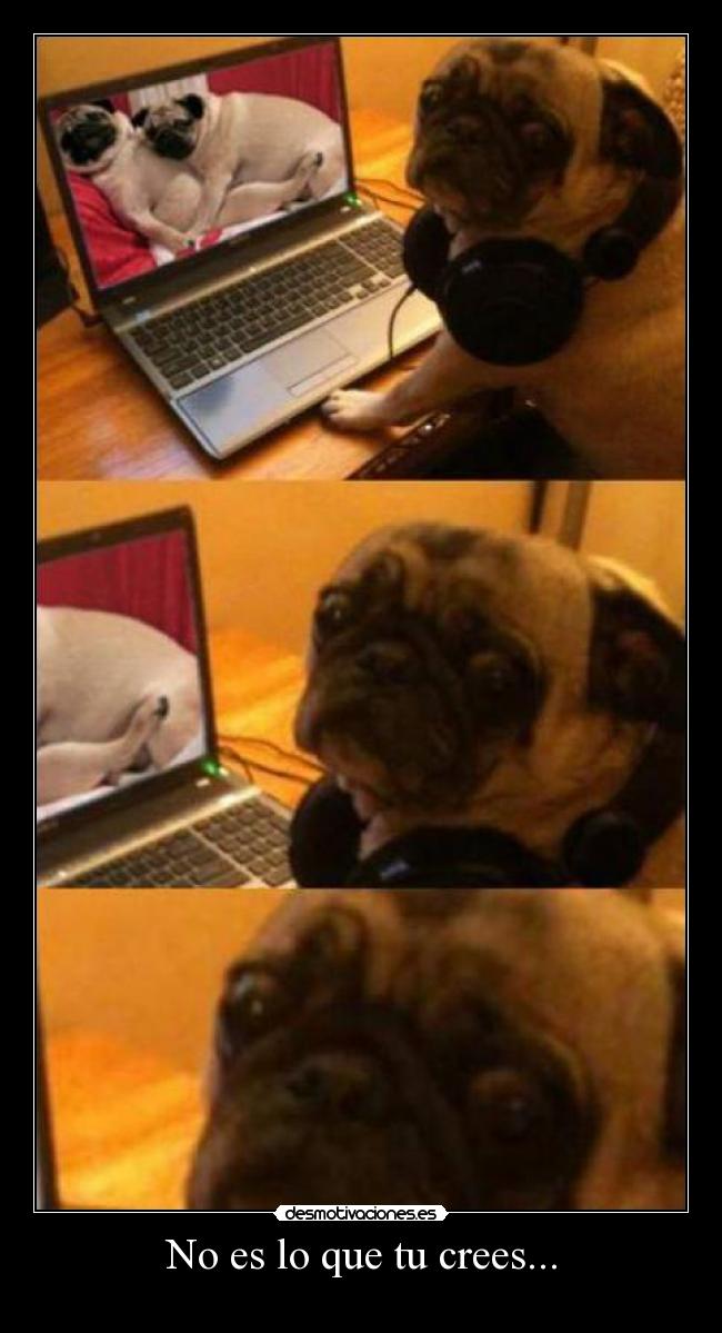 No es lo que tu crees... - 