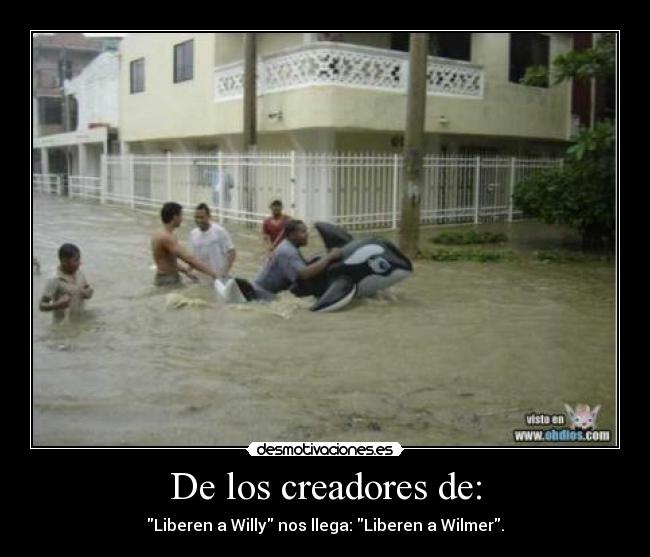 De los creadores de: - Liberen a Willy nos llega: Liberen a Wilmer.