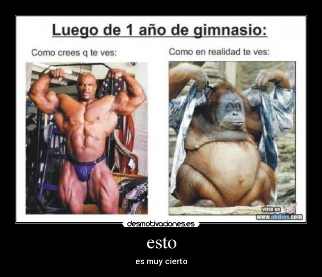 esto - es muy cierto