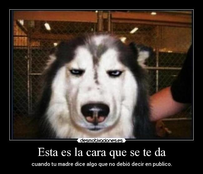 Esta es la cara que se te da -