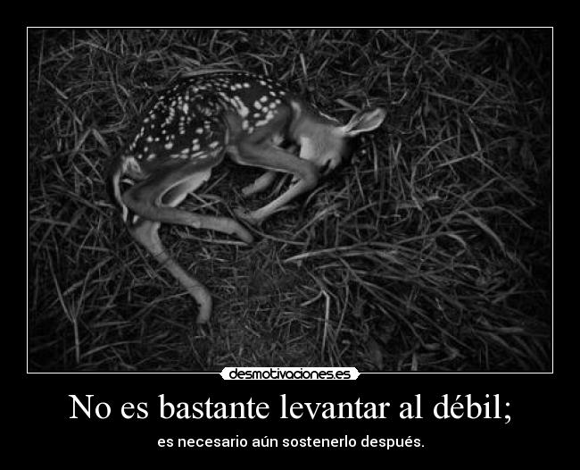 carteles ahhhhhhhhhhhhhhhhhhhhhhhhhhhhhhhhhhhhhhhhhhhhhhhhhhhhhhhhhhhhhhhhhhh desmotivaciones