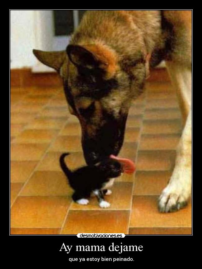 Ay mama dejame - que ya estoy bien peinado.