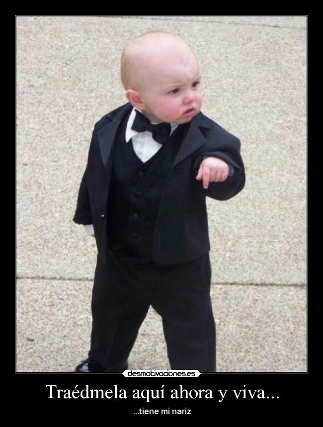 Traédmela aquí ahora y viva... -