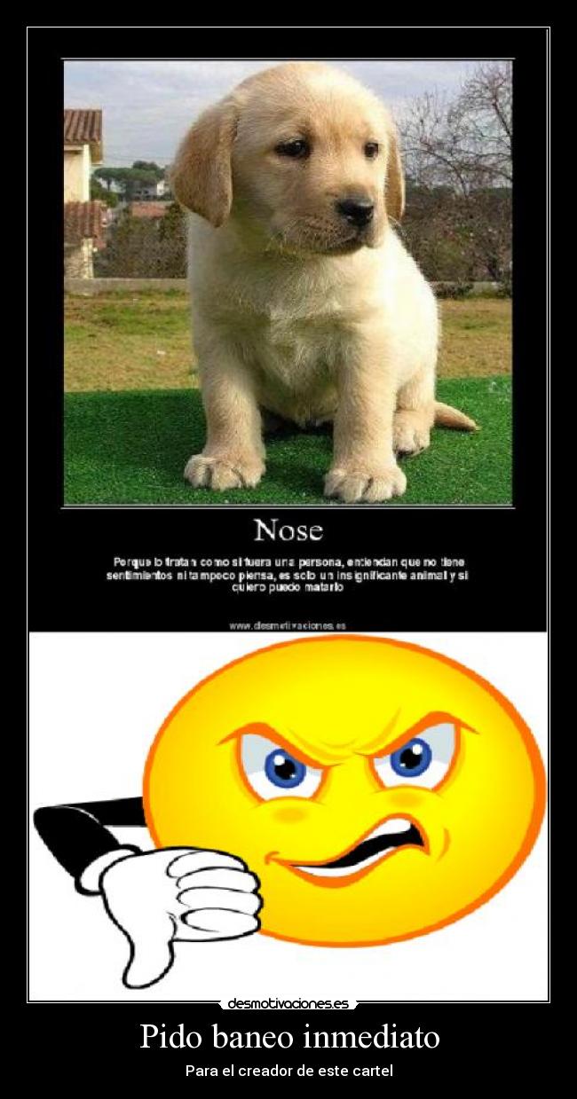 Pido baneo inmediato - Para el creador de este cartel