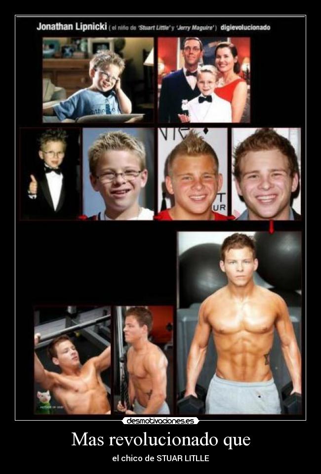 Mas revolucionado que - el chico de STUAR LITLLE