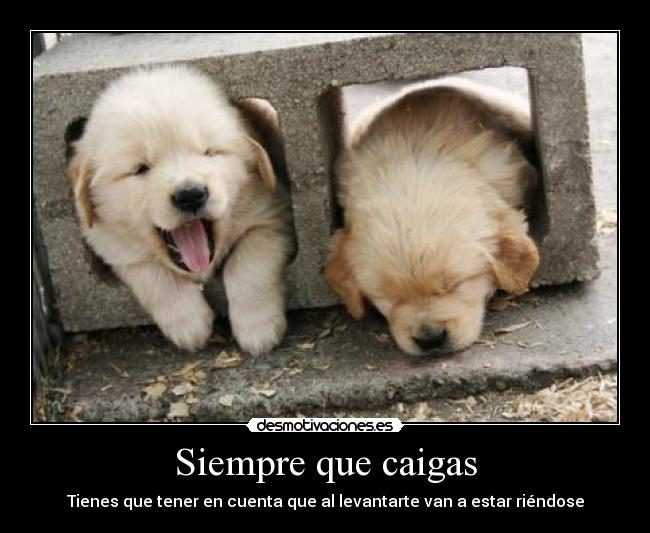 Siempre que caigas -