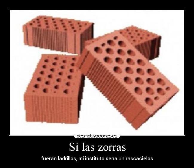 Si las zorras - fueran ladrillos, mi instituto sería un rascacielos