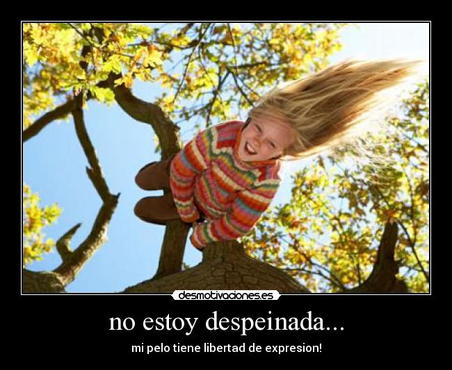 no estoy despeinada... - 