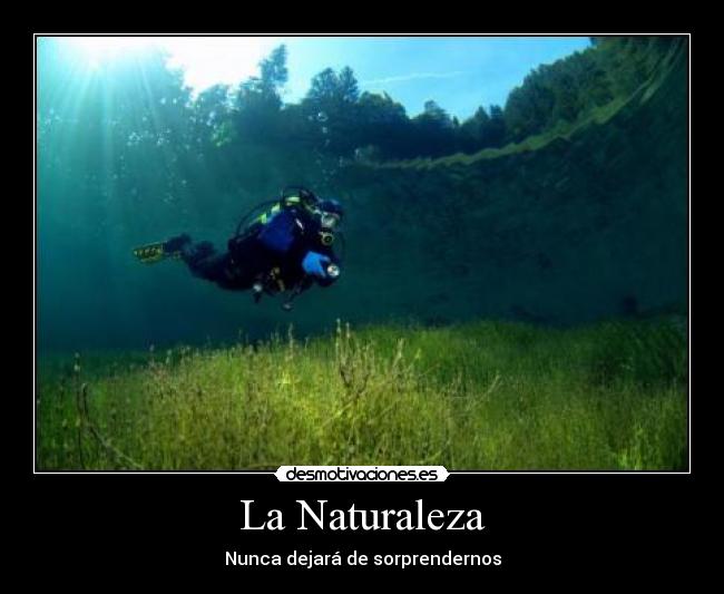 La Naturaleza - 