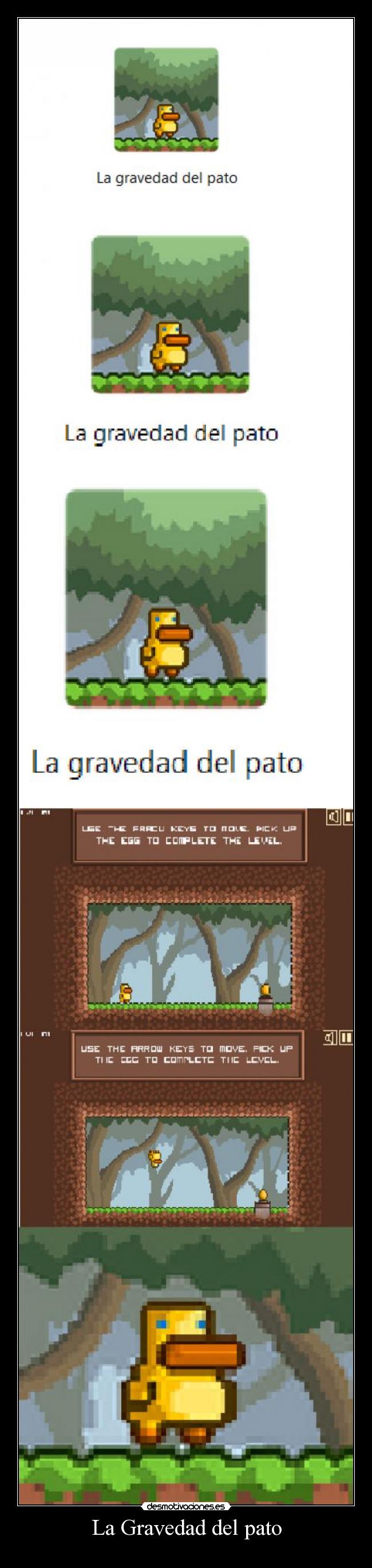 La Gravedad del pato - 