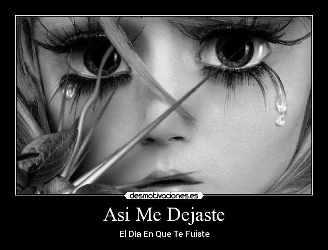 carteles fuiste desmotivaciones