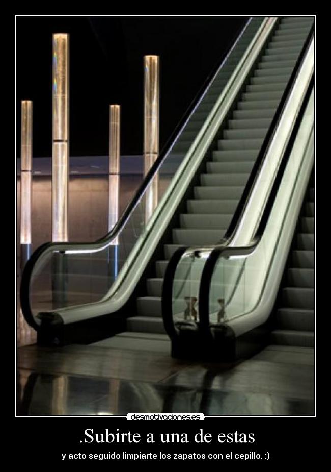 .Subirte a una de estas - y acto seguido limpiarte los zapatos con el cepillo. :)