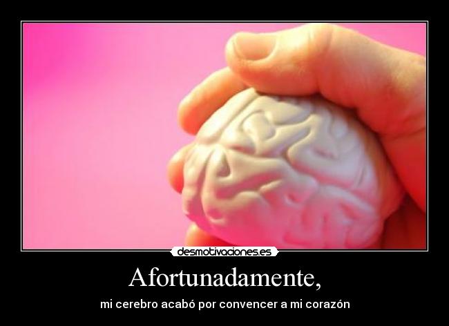 Afortunadamente, - mi cerebro acabó por convencer a mi corazón