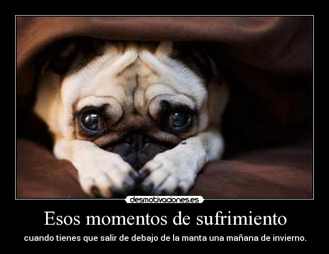 Esos momentos de sufrimiento - 