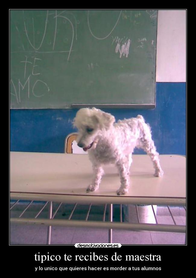 tipico te recibes de maestra -