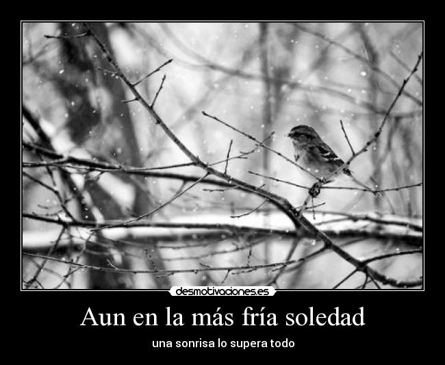 carteles soledad dreadk dedicado akleduok tengo mucha hambre aun espero principal desmotivaciones