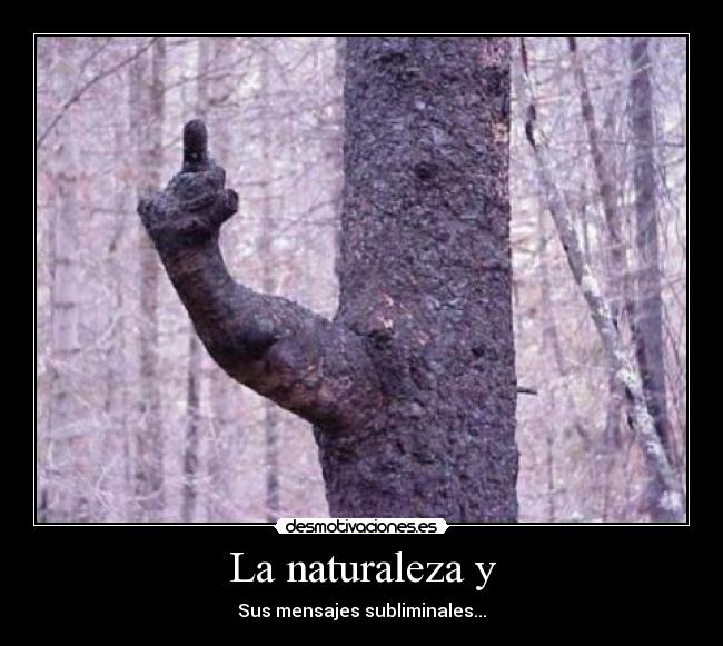 La naturaleza y - 