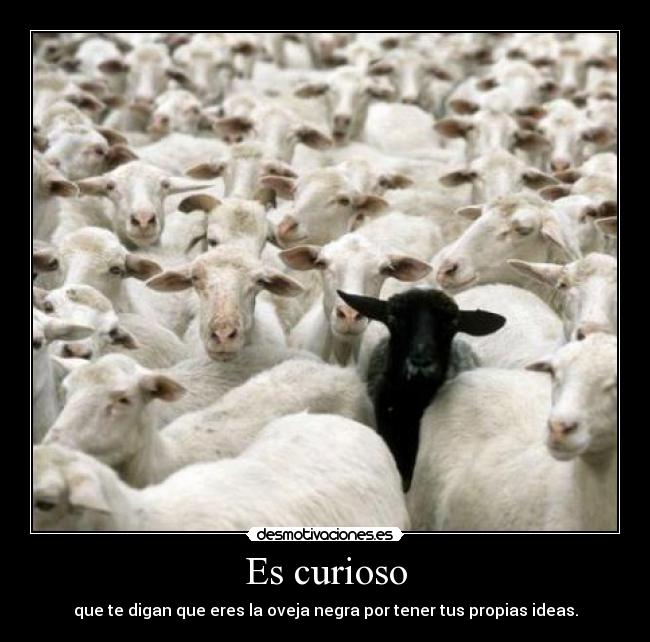 Es curioso -