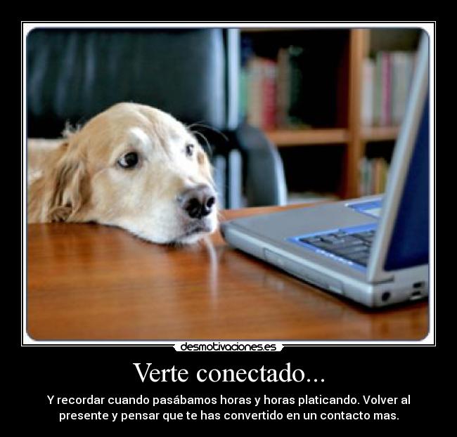 Verte conectado... -