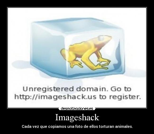 carteles imageshack famosa ranita congelada desmotivaciones