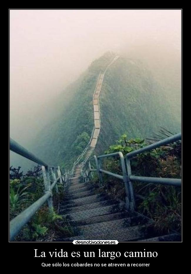 La vida es un largo camino - Que sólo los cobardes no se atreven a recorrer