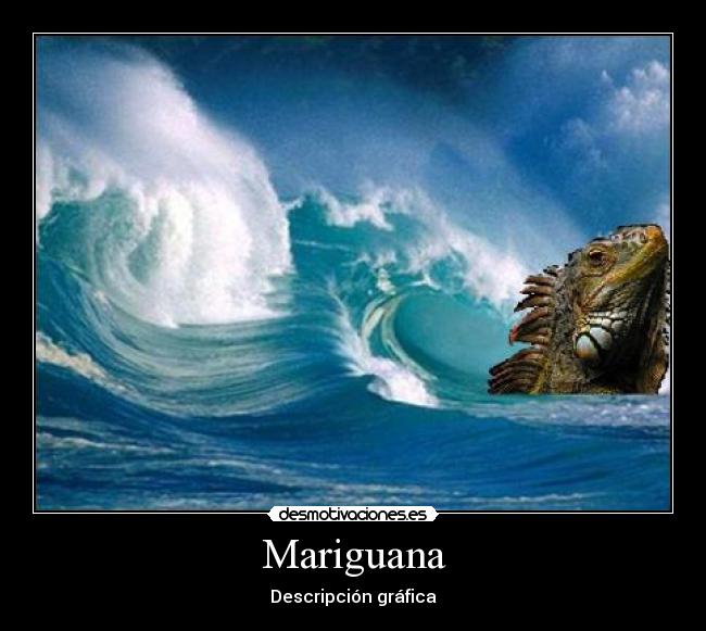 carteles las ardillas molan desmotivaciones