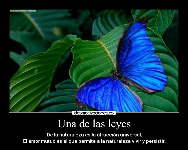 Una de las leyes - De la naturaleza es la atracción universal.
El amor mutuo es el que permite a la naturaleza vivir y persistir.