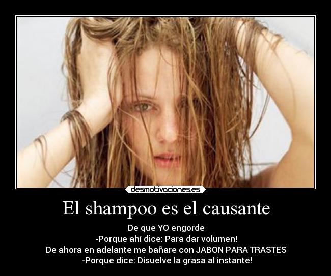 El shampoo es el causante - De que YO engorde
-Porque ahí dice: Para dar volumen!
De ahora en adelante me bañare con JABON PARA TRASTES
-Porque dice: Disuelve la grasa al instante!