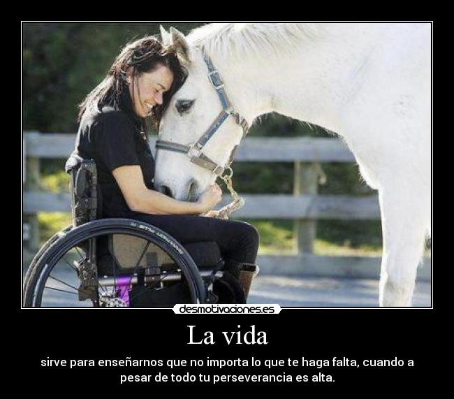 La vida - sirve para enseñarnos que no importa lo que te haga falta, cuando a
pesar de todo tu perseverancia es alta.