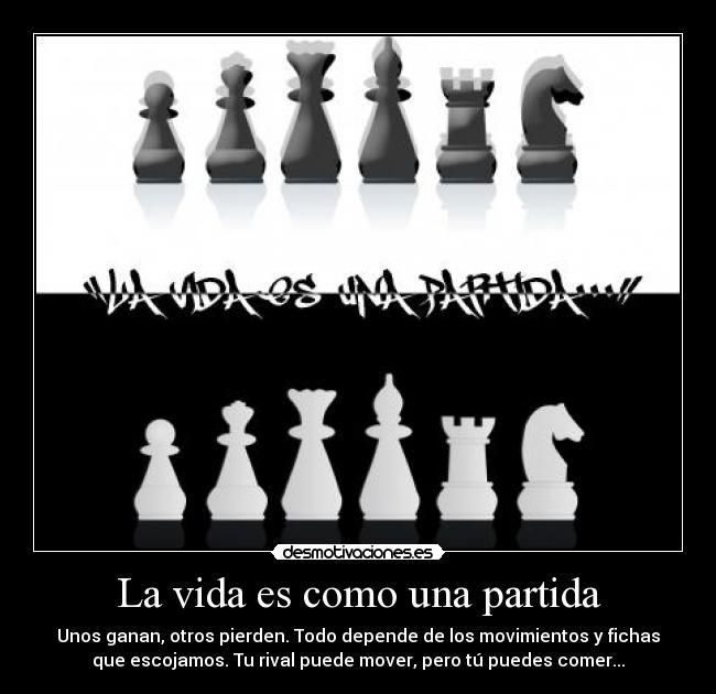 carteles vida vida desmotivaciones