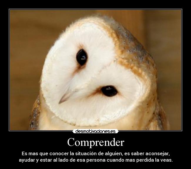 Comprender -